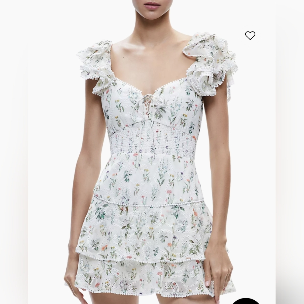 Alice + Olivia Hartford mini dress - Picture 2 of 12